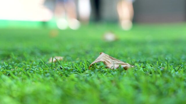 Artificial turf. Macro close-up of a soccer field turf. Fallen dry leaf in the foreground. Autumn is approaching. The movement of people in the background. Summer sunny day.