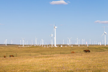 wind turbine, or wind energy converter, converts the wind's kinetic energy into electrical energy...