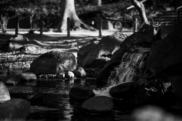 Small Waterfall in Black and White