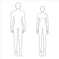Women and men to do ankle measurement fashion Illustration for size chart. 7.5 head size girl and boy for site or online shop. Human body infographic template for clothes. 