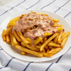 Homemade Animal Style French Fries on a white plate, low angle view. Close-up.