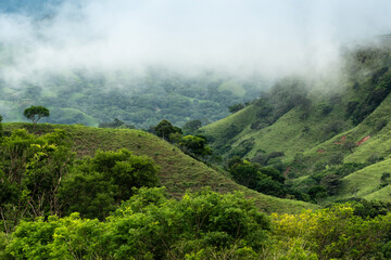 Fototapeta na wymiar Clouds hanging in the hills of Monteverde