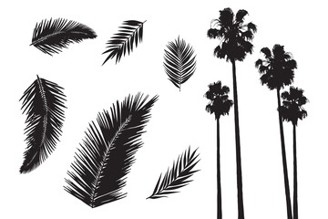 Palm tropic silhouettes. Clip art set on white background - obrazy, fototapety, plakaty