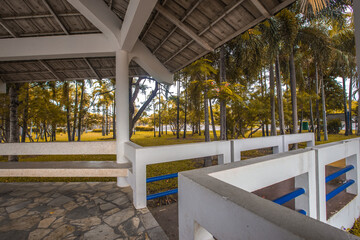 The natural background of many species of plants that are laid out in the park, for the propagation of the species and to provide shade for those who stop by while traveling to study the ecology.