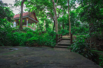 Background of wooden walkways (wooden bridges) created for high-angle views on mountains, natural attractions, or parks that have forest preservation
