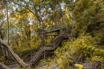 Background of wooden walkways (wooden bridges) created for high-angle views on mountains, natural attractions, or parks that have forest preservation
