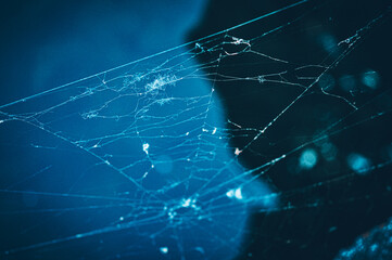 Complex web over the river