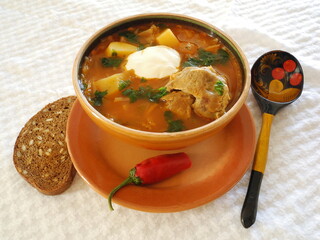 vegetable soup with meat
