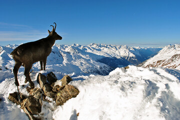 Hochgurgl Obergurgl Otztal ski resort in the Western Tyrol Austrian Alps Austria