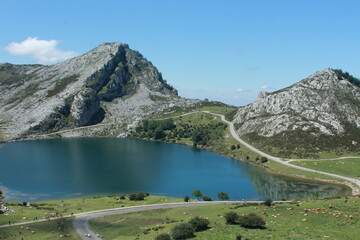 Naklejka na ściany i meble mountain lake in peaks of europe (Asturias, Spain)