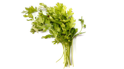 Fresh Green Parsley Leaves Isolated on White Background