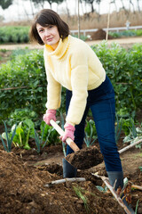 Girl in a yellow sweater digs beds with a shovel. High quality photo