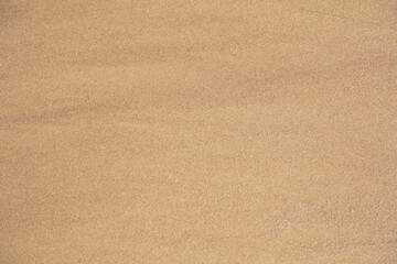 Fototapeta na wymiar Natural background, texture of wet sand with seashells.