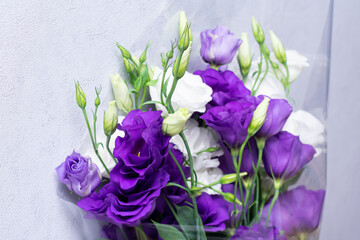 Violet and white Eustoma flower on light blue background. Flowers background design. Prairie gentian Plants. Copy space for text.