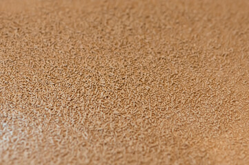 Trockenhefe - Close up.