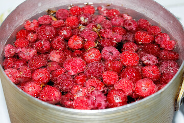 Ripe raspberries in a pot filled with water before cooking compote.