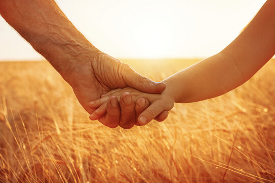 The Hand Of A Little Girl And The Hand Of An Elderly Man. The Concept Of Generational Communication. High Quality Photo