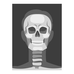 X-ray Film of Front Viewed Skull Vector Illustrated Image for Educational Purpose