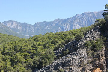 Alanya, TURKEY - August 10, 2013: Travel to Turkey. Helene Hills. Mountains in the background in the distance. Rocks, wildlife of Turkey. Forest and clear blue sky. Mediterranean Sea.