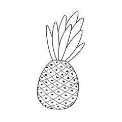 Hand drawn abstract pineapple. Black and white outline floral vector illustration. Decorative fruit . Tropical summer icon. Doodle style. Food concept.