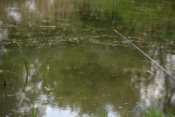 Fishing float on the water. Fishing with a float rod.