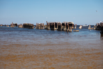 An old abandoned pier in the sea. Sunny summer day. Seagulls