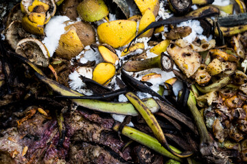 Food wastage