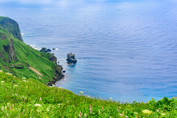北海道　礼文島・桃岩展望台コースからの眺望