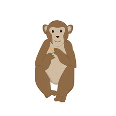 Monkey Illustration