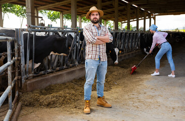 Portrait of positive successful farmer engaged in breeding of milking Holstein cows posing in stall