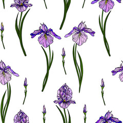 Vector seamless pattern with violet iris flowers and green leaves. Floral design with hand drawn elements for textile, wallpaper, wrapping paper. 