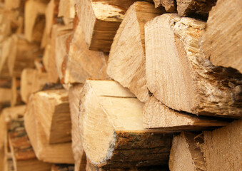 The chopped tree was piled in a pile.