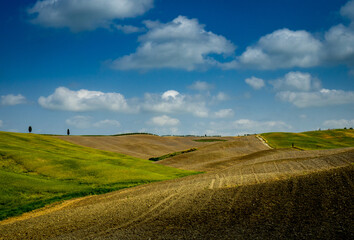 Rural landscape in Tuscany Italy