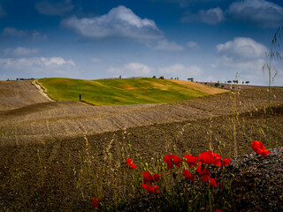 Rural landscape in Tuscany Italy