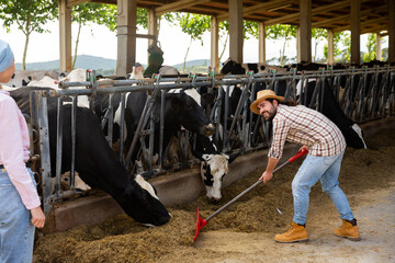 Young female farmer standing near cow and male working on background at farm