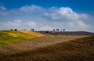 Rural landscape in Tuscany Italy