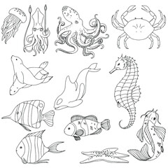 Set of sea animals color cartoon for web and mobile design. vector illustration isolated on white background. seahorse, jellyfish, killer whale, seals and fish