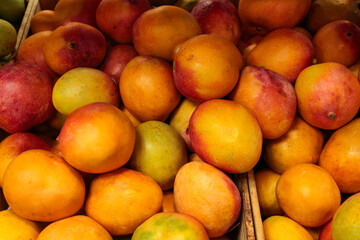 A lot of yellow and orange mangoes in Israel in a store