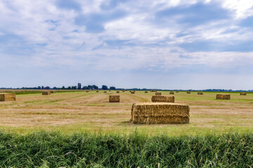 Dutch Landscape Agricultural Countryside With Hay Bales After Harvest.