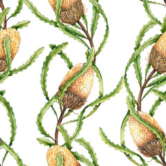 Seamless pattern of watercolor banksia. Hand drawn illustration is isolated on white. Exotic flowers are perfect for fabric textile, wedding design, interior poster, wallpaper, floral prints