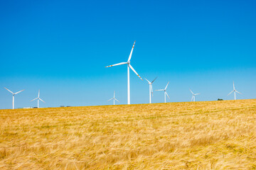 Wiatraki elektrownia wiatrowa energetyka pole - obrazy, fototapety, plakaty
