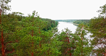 Lake in forest nature reserve