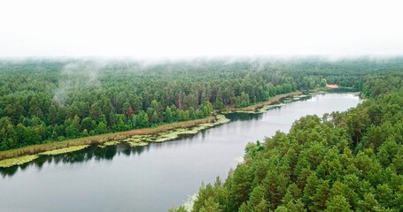 Fototapeta na wymiar Lake in forest nature reserve