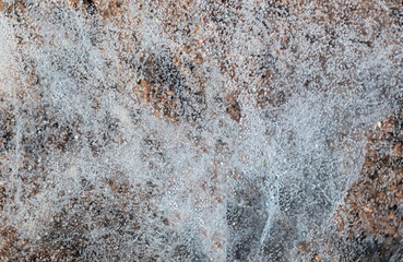 Dew drops on web