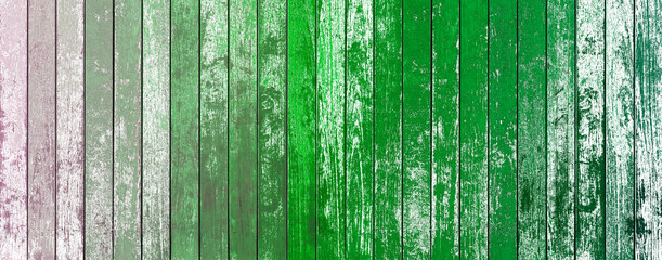fond bois vert