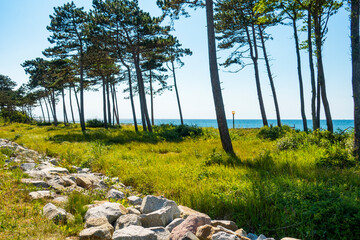 Morze bałtyckie kamienie głazy drzewa