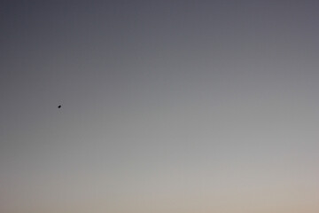 Alanya, TURKEY - August 10, 2013: Travel to Turkey. Sunset at the sea. The sun is leaving the horizon.