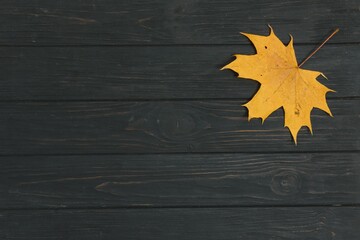 Autumn Leaves over wooden background.With copy space