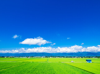 夏の信州　安曇野の田園風景