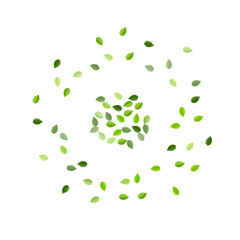 Olive Leaves Swirl Vector Wallpaper. Flying 